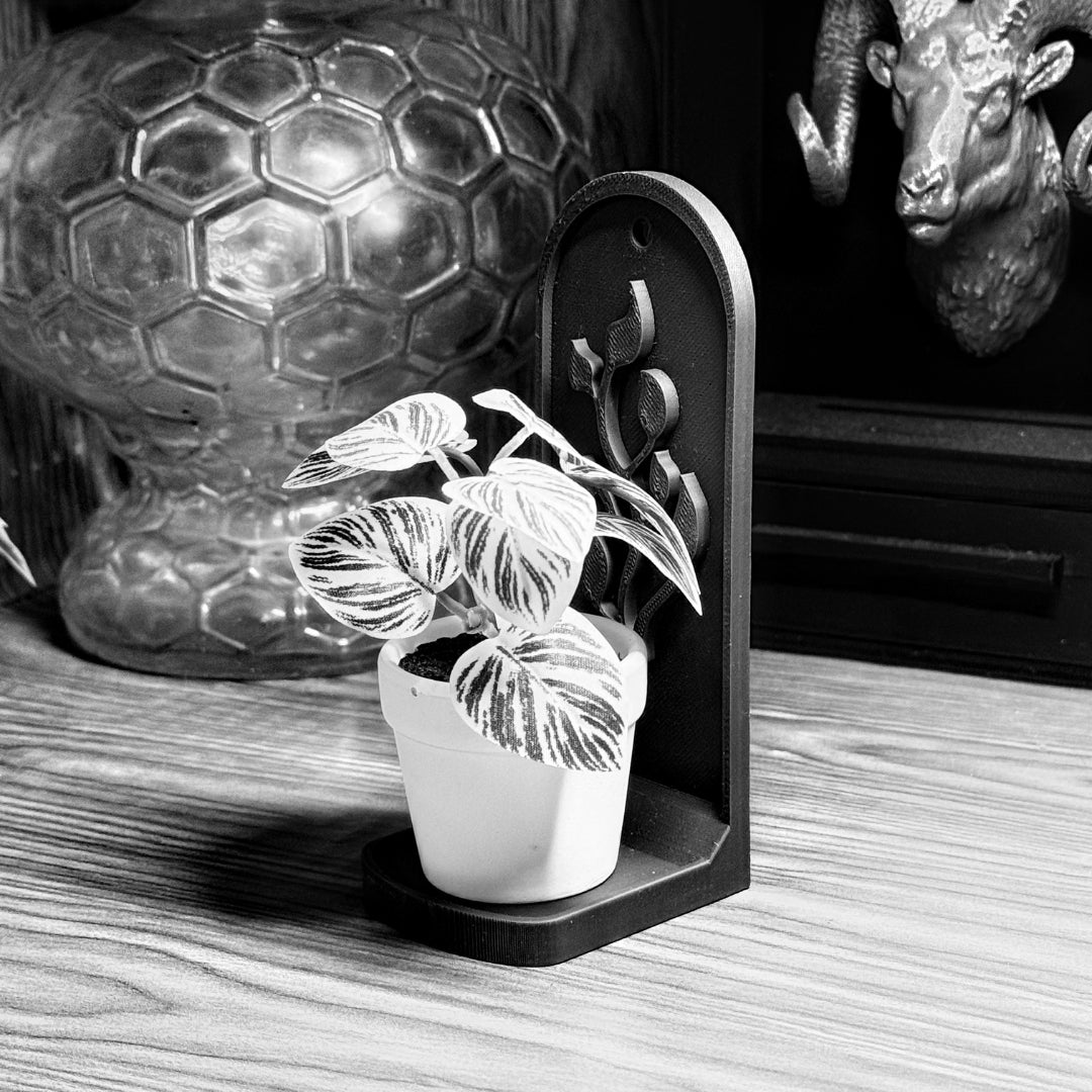 Plant Stands and Planters