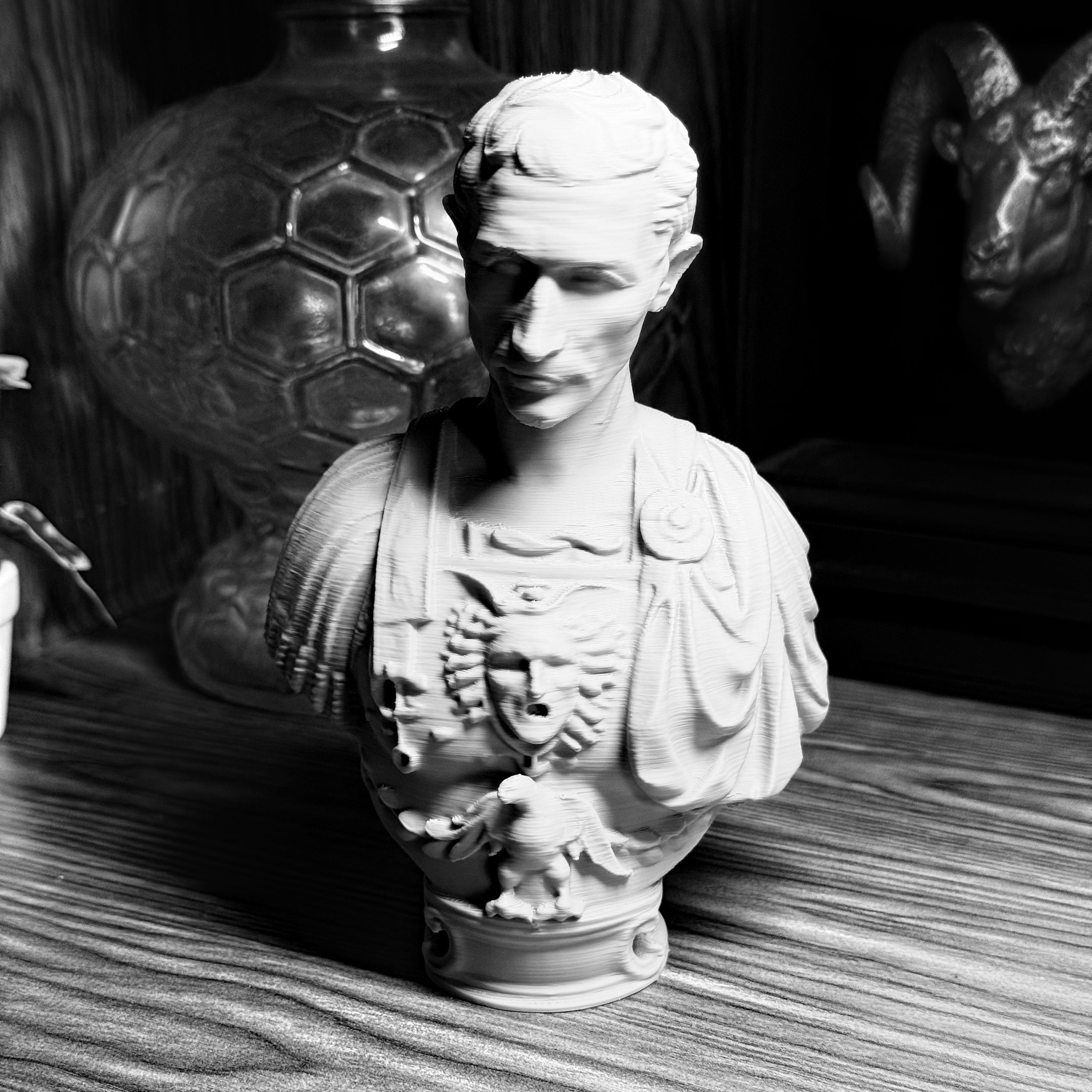 Busts