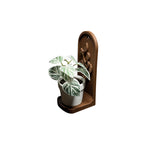 Small potted plant on a wall mount brown holder.