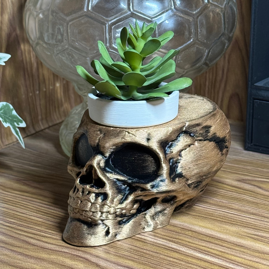 The Dark Skull Planter