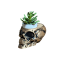 The Dark Skull Planter