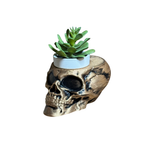 The Dark Skull Planter