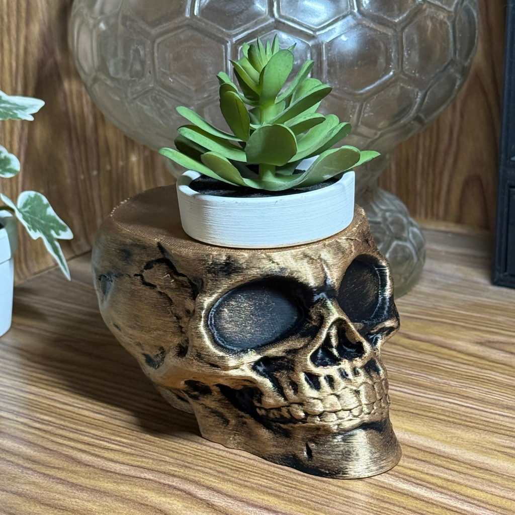 The Dark Skull Planter