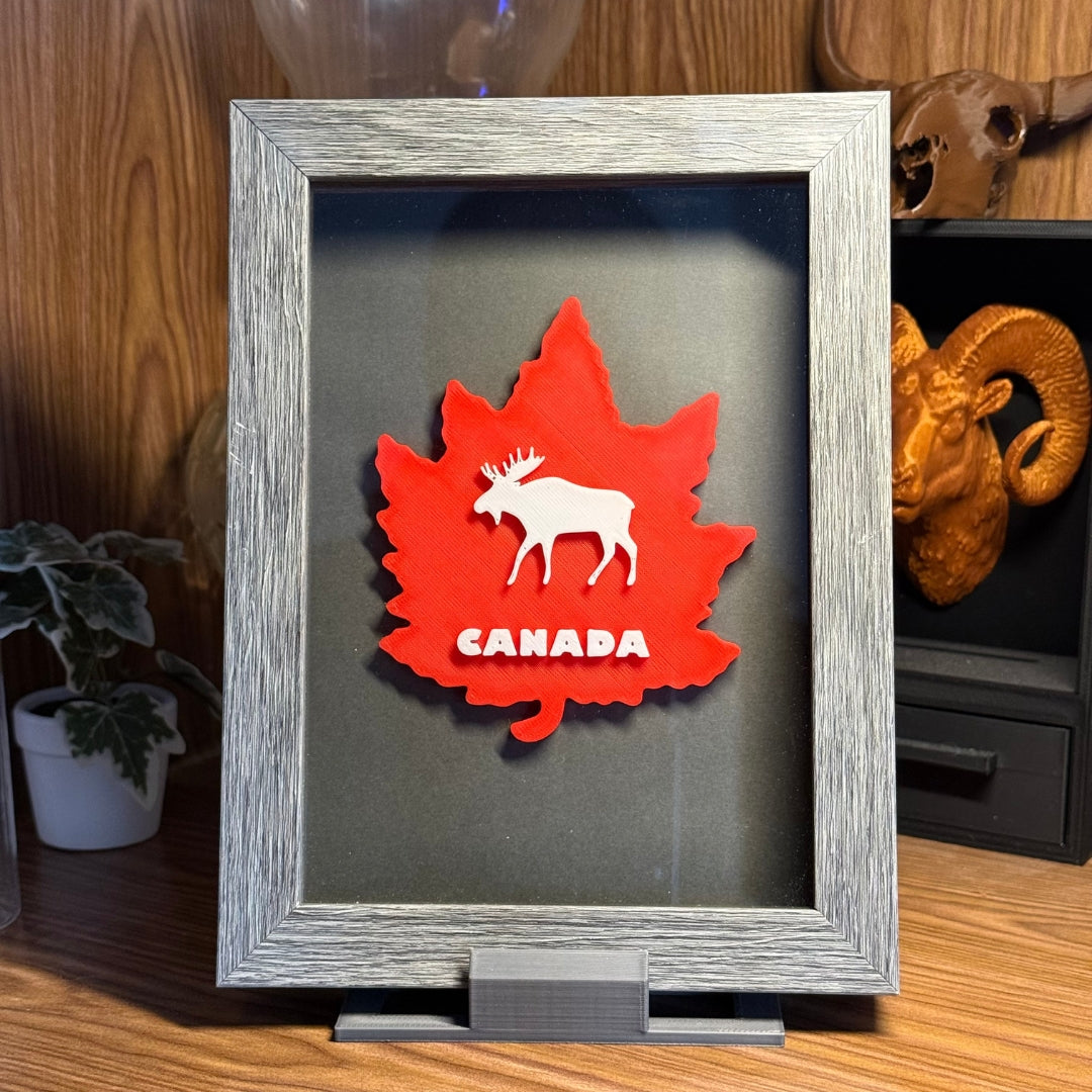 Classic Canadian Shadowbox