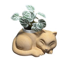 Sleeping Cat Planter